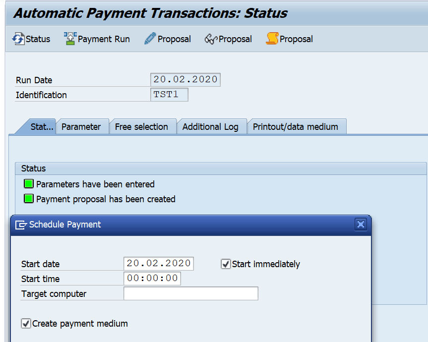 SAP F110 Payment Run Payment Medium