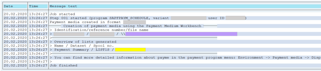 SAP Payment Run Log F110