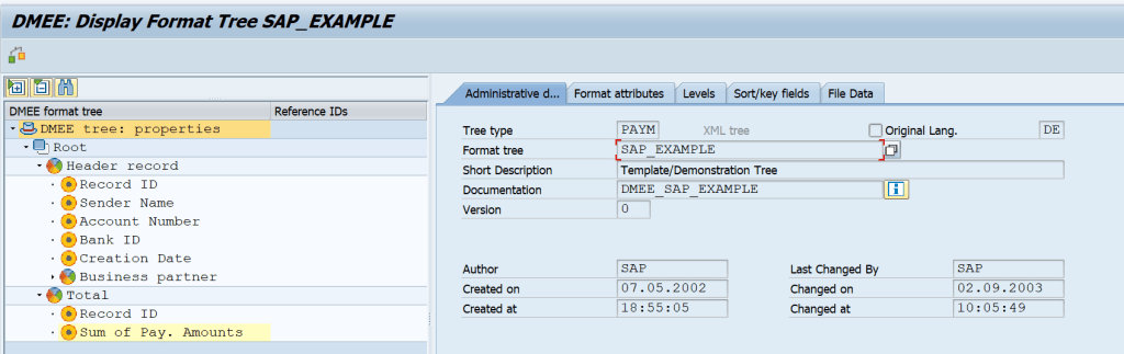 Structure of DME File and SAP Example
